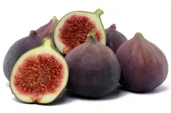 02abcbec-36e2-44df-8a22-f5964580d8a57556508238e8c4516b4716ed2dca7f18_figs.jpg