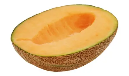 1cae6499-3390-4900-9ed2-29c2792f2444433e055c62e328b1f30b3544953e1745_rock.jpg