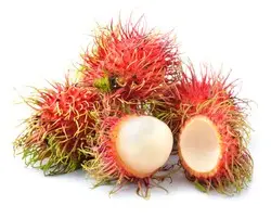 21b02921-ffbd-4349-8f34-1dc44369a27a3f9c5204febcbbb8ebf499face358394_rambutan-square.jpg