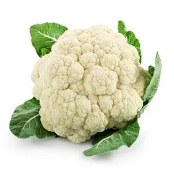 35a184e5-837c-4370-bedb-7db702e4cf66_thumb_lg_rl1j71auvnhvu1wtgldi_liflower.jpg