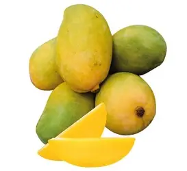 445c04bd-79c9-404e-8850-119f74ea3f7488bf79e34114b04e671a6b7ddb645fb3_1092_Kesar_Mango.jpg
