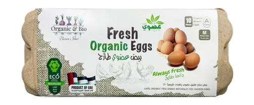 4deecc62-8b33-45a0-8dfc-5ffbc0c82c7c82a0e88ab91fed6dd64d5332f6762653_organic2.jpg