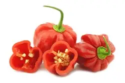 537ae26b-48a8-4894-a247-3a782e4f8691c20fa06b5a5b6fea246ef418d8908f6a_habanero_red_chili.jpg