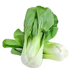 57c008a2-2e5f-4258-8930-f1064f2f1523655c9b268d68001640f6a0c60adb2a97_pak_choi.jpg