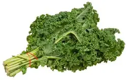 5d04f80c-f995-41c2-b9fc-9bbcc4315178c2a070ff38da5971a0d44fde20e4b3f3_kale_.jpg