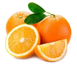 5df36e94-1239-4edc-83ed-f7d559717fed_thumb_lg_tby313rh9w7ap2sh8h0k9_nge_navel.jpg