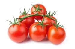 6efde12d-8b98-4e4d-93be-2c130a8b9840a6148a494f07e8e866a0d5fa2ee69568_cherry_tomatoes_vine.jpg