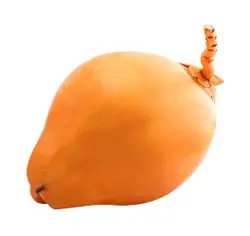 7735edd0-0f3f-4811-b357-f146a4672b92b8c7aeaf4ea2373db5bfe5041c2929d1_king_coconut_.jpg