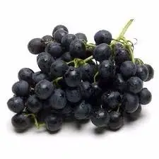 7db2f5a2-6bb2-4617-ad48-66ab0d48bc88_thumbnail_large_pes_Black_USA.jpg