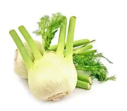 839eacf3-52b5-4f95-8db6-483dee64678d773ba0d9dc74a98961be99b7385b1dec_baby_fennel.jpg