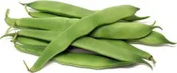 85f6059f-d94f-4810-861b-84713328cd6c_thumbnail_large_t_Beans_.jpg