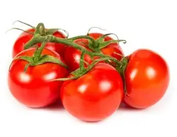 99987f11-e859-4ed6-9b28-a9f1282a6b53e6dd7b2bf3b1151e1bf352e772898444_tomato_bunch_2.jpg