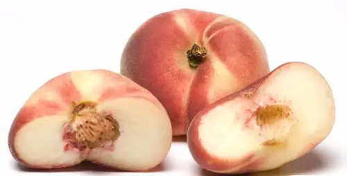 9f43bd98-f181-475a-8620-41e7662da3cd_tfss-1068bb18-bb5a-4096-8158-14ebcb70d656-peach.jpg