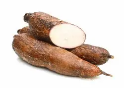 a566ff25-6866-4d01-a2f0-cb268e2eebb0_thumb_lg_k7yflqgntad0c8l37syvi_ioca_Srilanka.jpg
