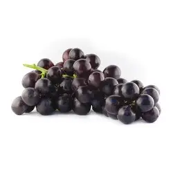 a6f0f853-527d-4b9a-8f70-840aec19dce5_resized_thumbnail_large18df1700-1184-435b-bfe4-b23ace32ba4e_tfss-bbc318f1-4b43-4e20-906a-d72e4742126c-2647112000.jpg