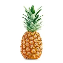 a8829d65-7757-408c-ba89-43c337d3532c3a2095b959bd8a7227df32c8d15b556b_PInya.jpg