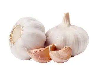 ad945292-3b66-41f0-88a7-644e100709fe10d5ffdb2c97df5b82999cfbbd5059a2_grlic.jpg