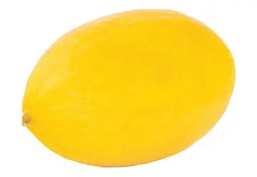 b51079b0-6c3b-4d24-aa8b-a7e0733e1f7121aaf1e43564f6302d89a119a466d456_COOP0044.jpg