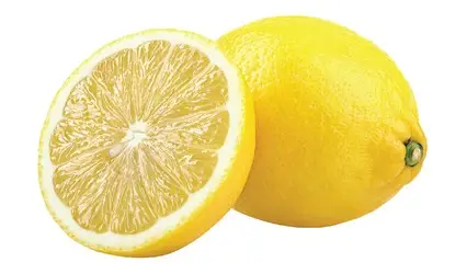bc9eff93-c2ed-43e1-96d6-a70346403c2d42ac791b21de56121b122437fee8e95b_1013_Lemon.jpg