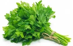 bd89b4e9-4b8d-4099-a2e2-efa94c5a8eff554176dc002ff4110bcf3720e790e331_parsley.jpg