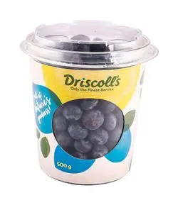 blueberry.jpg