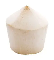cb535a7eebe3437f4c2d62b2259a6136_thumb_lg_h1i6yq0d1fwcgm4jwcdi_0coconut_vietnam.jpg