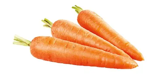 d3154837-9450-4b9c-9d5f-cc8790c6af16a5f0cdff51bb32c45f9860f7d3c054f5_2005_Carrot.jpg