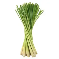 e251a79c-42a2-4ae7-87a1-ff17a0574fbd65d9ae080b1b5cac4c077bc9e5a355e0_lemon_grass.jpg