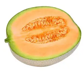 f287ec5b-4a26-4402-abd3-109c02807674ef5d381d478d737d2ac2ae7d041f4662_YOlILOyeIO.jpg